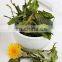 Pure Dried Dandelion Leaves for Herbal Tea/ Organic Pure Dried Dandelion Leaves From Vietnam