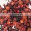 Sinocharm BRC-A approved IQF mix berries frozen mix berries