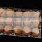 Reclycled Material Rigid PET Film For Vaccum Thermoforming