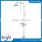 Emergency Stand Eyewash,stainless steel eye wash station