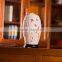 Himalayan Natural Rock Ceramics Salt Lamp