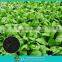 Leafy crops special fertilizer-RSSC organic fertilizer