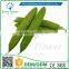 Greenflower 2016 Оптовая продажа искусственных ПУ-бальзаминов (горьких арбузов) ручной работы из Китая для декорации