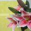 Wide varieties top sell wedding lilies for home decoration flower