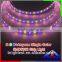 Addressable RGB+W/RGB+R Waterproof IP 65 12VDC/24VDC 12 power led strip 5050 60LEDS/M