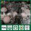 Dried Shiitake,Shiitake Mushroom Spawn,Buyers for Shiitake Mushrooms