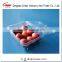 500g Disposable Clear Strawberry Packaging Fruit Container