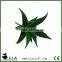 Large Mini Artificial Aloe Plant in Green for Bonsai Succulent