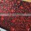 VERY SHINE EVENING DRESS WITH FULL SPANGLE EMBROIDERY FABRIC