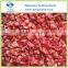 Sell Diced IQF Red Bell Pepper