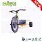 Hot selling 500w/800w/1000w electric reverse trike with CE certificate hot on sale