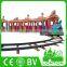 Kids Outdoor Games Equipment Electric Adult Train Used Road Train For Sale