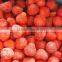 Price for Frozen Strawberry/IQF Sliced Strawberries