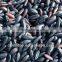 GMP Factory Supply Natural Black Rice Extract Powder