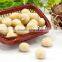 Raw Macadamia nuts with shell and Without shell.