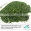 Food Grade Ulva Lactuca seaweed