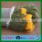 Cucumber Growing Support Net/chicken Fence Net