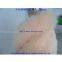 fur leather garment accessories fox fur collars tops pink