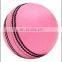 Cricket leather Ball