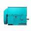CEMENT high voltage AC motor