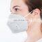 Professional Brand New Health Dust Mask Set Disposable Mask Face Dust