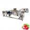 Food industry use Small Scale Air Bubble type Vegetable Fruit Washing Machine Food Washer