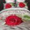 home textile 100% polyester king size China wholesale Korean design fleece blanket / mink blanket cover