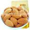 almond in pk  kirklands  almond chocolate almond nuts raw california