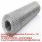 STAINLESS STEEL WELDED MESH/Welded wire mesh//wire netting