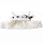 Shearing Sponge Down Fall Winter Zebra Hat Dog Pet Hat
