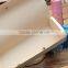 Blue sun glass box