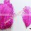 Art And Craft Feather Ostrich Feather Trim For Halloween Party Supplies