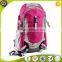 China manufacture Top Quality wholesale hiking backpack