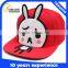 Custom 6 Panel Kid Snapback Caps Wholesale High Quality Applique Snapback Caps