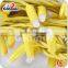 10m 100bulbs LED Christmas Light for Holiday Decoration, LED Fairy