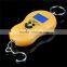 Smart Weigh Precision Electronic Industry Small Scale
