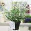 Cheap Mini Artificial Plastic Grass Plant in Pot for Sell