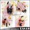 2015 fashion nail lacquer with 34 colors
