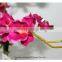 fabric orchid flower deco home flower decorations