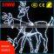 2d motif led outdoor lights trains christmas /led decor for christmas