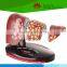 Hot selling Medical teaching human 4-stage liver model