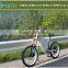 High carbon steel Electric Bike