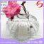 Aroma Reed Diffuser Bottles Various Glass Bottles with Custom LOGO lround antern shape