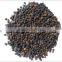 Black Pepper Packaging