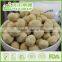 International Selling Raw Peanuts Nut Prices For All Age Cheese Peanuts Nuts Nuts