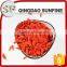USDA certificated organic dried goji berries ningxia wolfberry Chinese red goji on sale