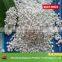 Manufacturer of Potassium type SOP fertilizer