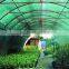 for trees, flowers and fish pond Agriculture shade windbreak netting