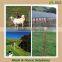 Field netting lowes goat farm fencing wire panels