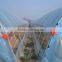 Cheap Tunnel Vegetable Greenhouse With Shading Screen